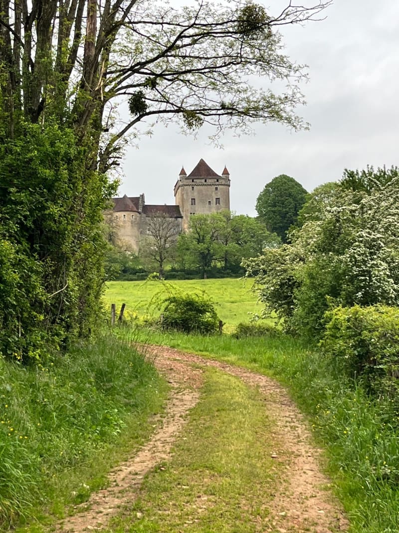 De la voie romaine au château du Pin (Jura) - Le Pin