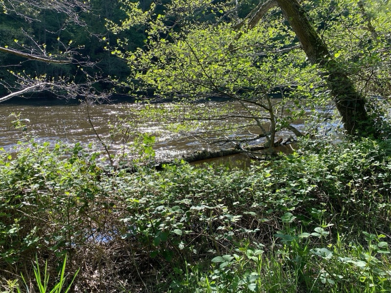 Les Tarteaux / Château Rocher / St-Rémy-de-Blot et la Sioule - Menat