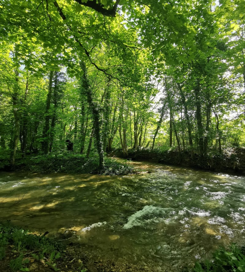 Balade dans le Val Suzon - Messigny-et-Vantoux