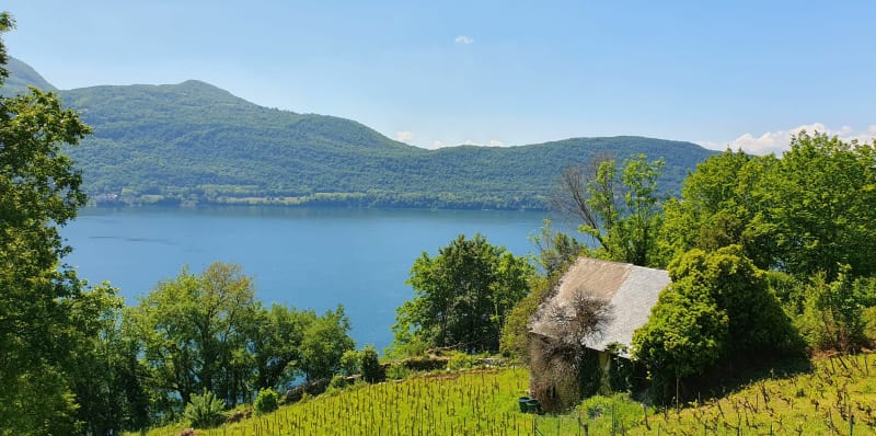 Le sentier des vignes depuis La Chambotte - Entrelacs