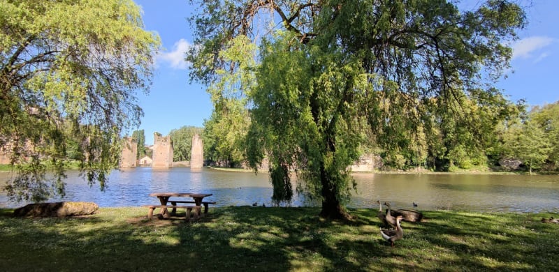 Autour de l'étang de Lussac-les-Châteaux - Lussac-les-Châteaux