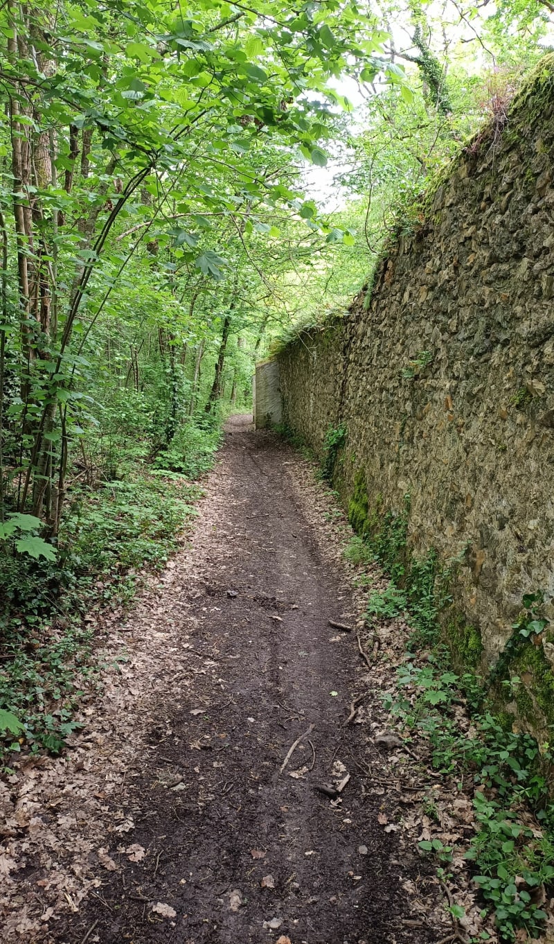 De Savonnières à Villandry entre forêt et Loire à VTC - Savonnières