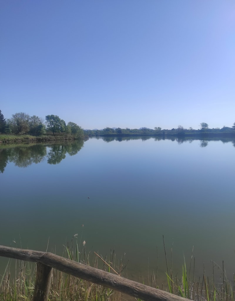Étang de Villepey - Fréjus