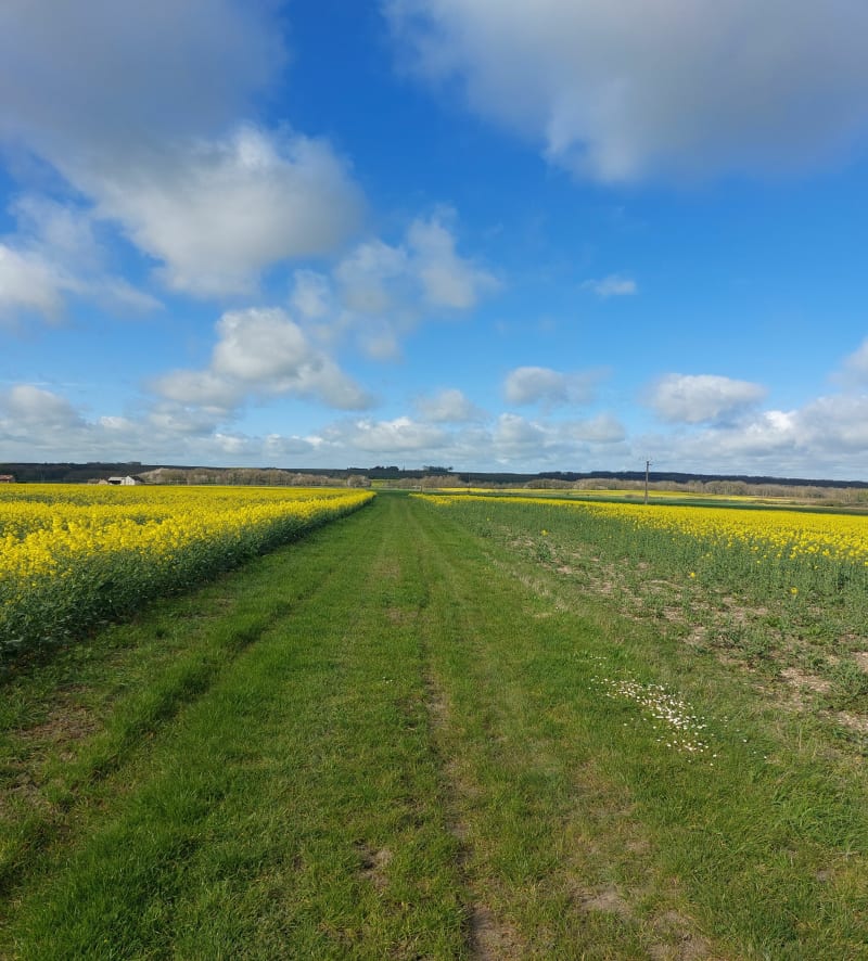 Promenade en Beauce - Marcilly-en-Beauce