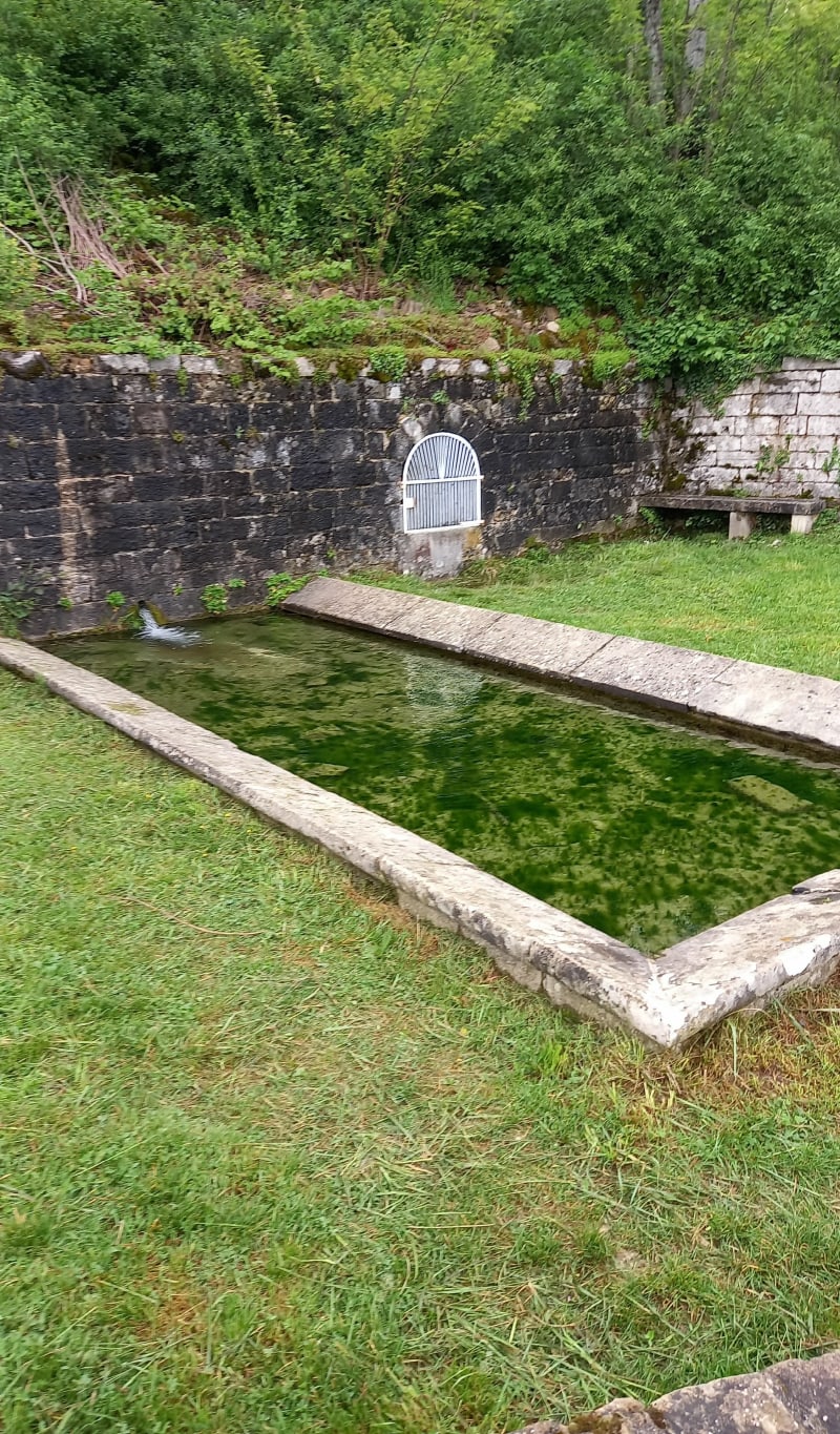 Balade au Mont des Tartres à Lons-le-Saunier - Lons-le-Saunier