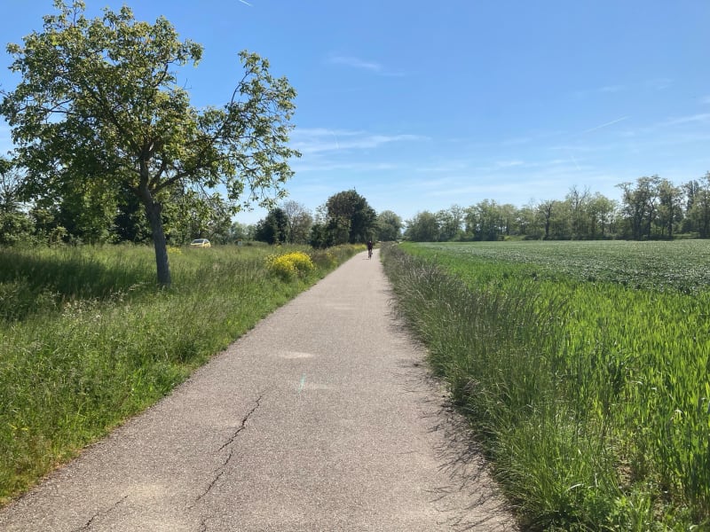 Balade agréable sur piste cyclable à Battenheim - Mulhouse