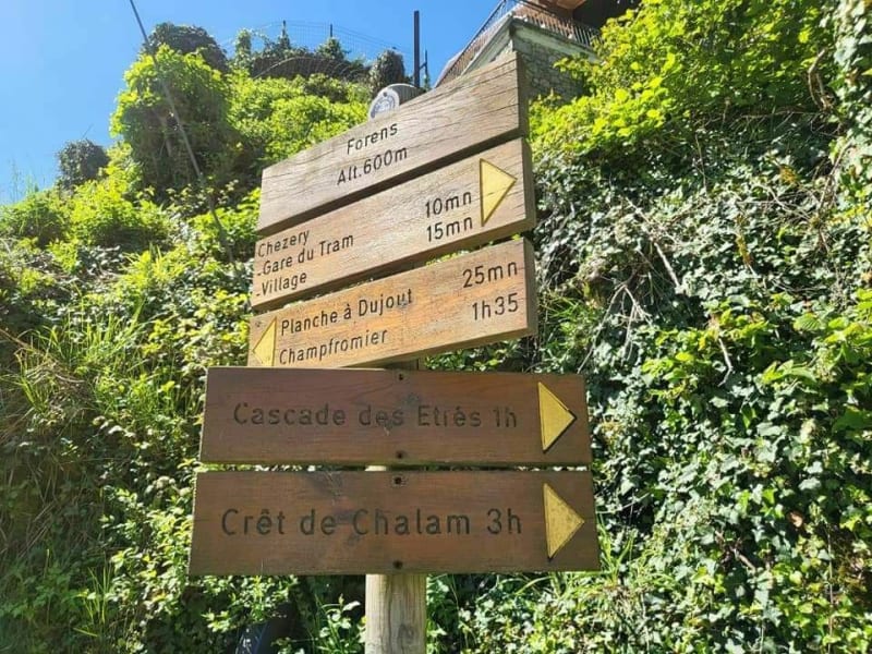 Balade au Crêt de Chalam - Chézery-Forens