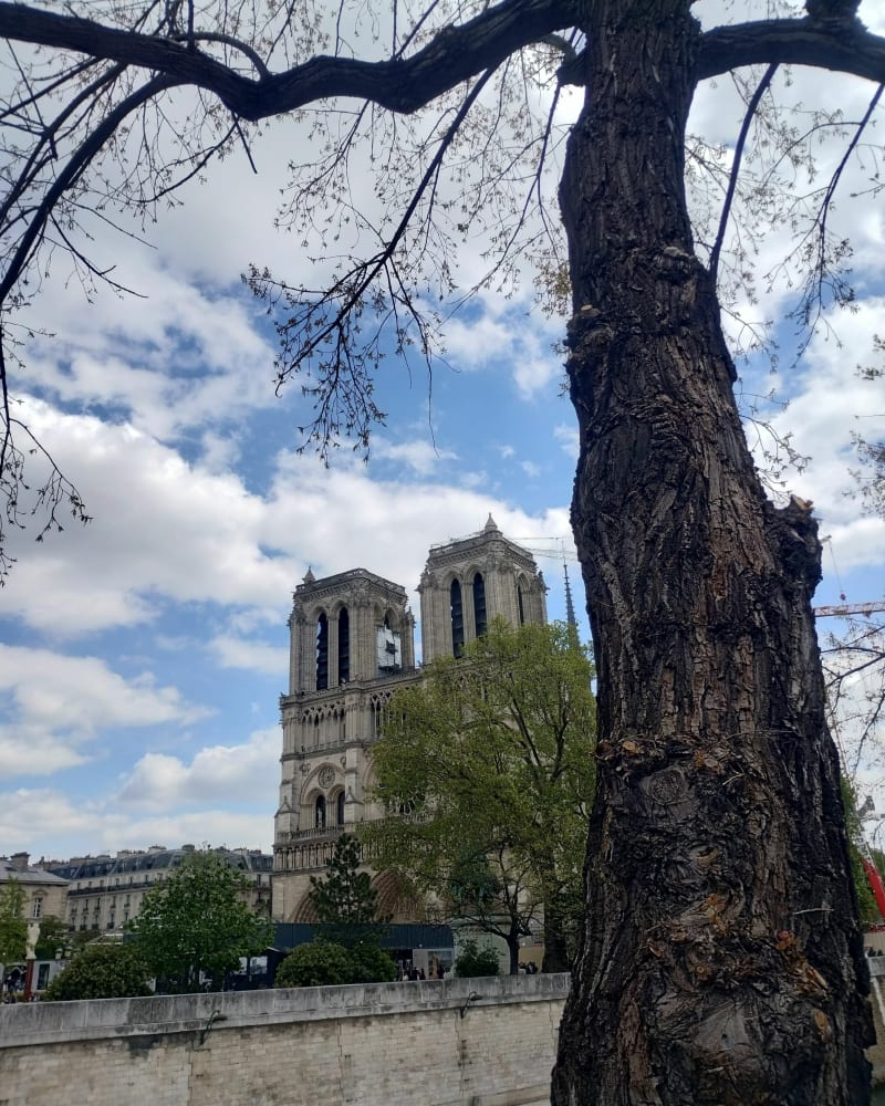 Des Grands Boulevards aux quais de Seine - Paris