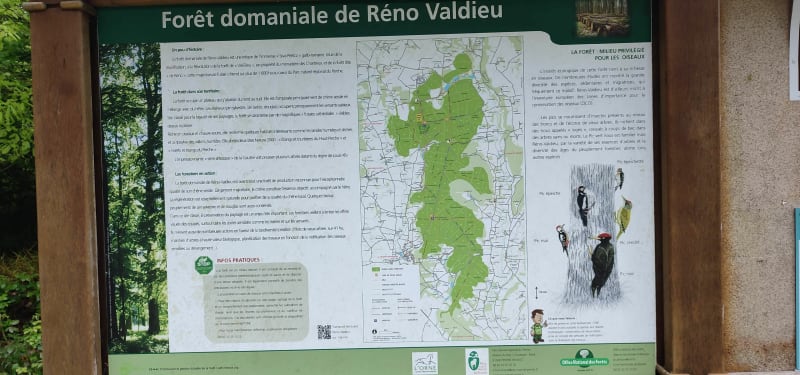 Grand tour de Réno-Valdieu - La Chapelle-Montligeon