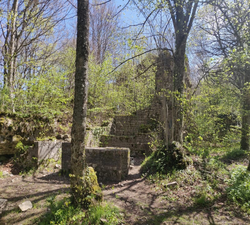 Sacré point de vue en forêt de Saou - Piégros-la-Clastre