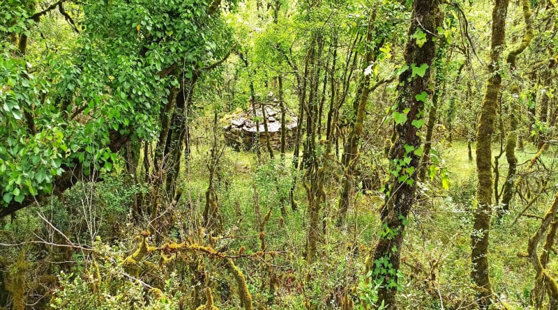 La vallée du Vers à 10 minutes de Cahors - Saint Géry-Vers