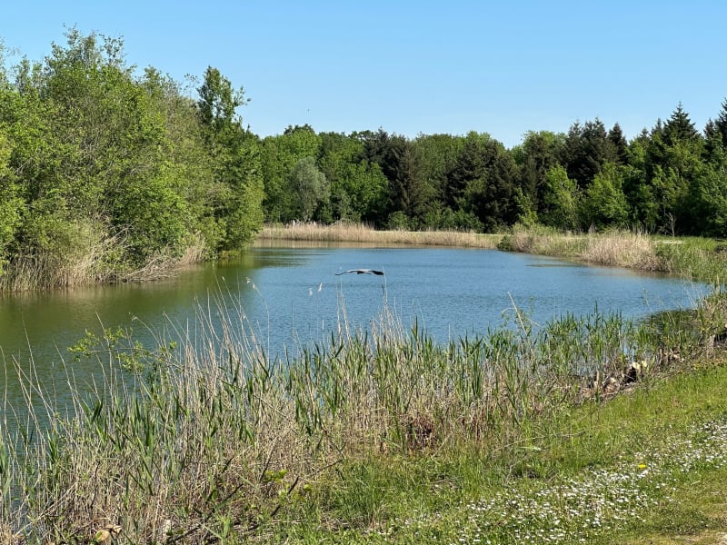 Hagondange Coulange - Hagondange