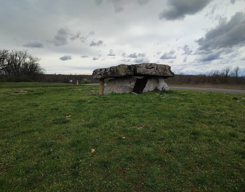 Dolmen et cochons au départ de Vaour - Vaour