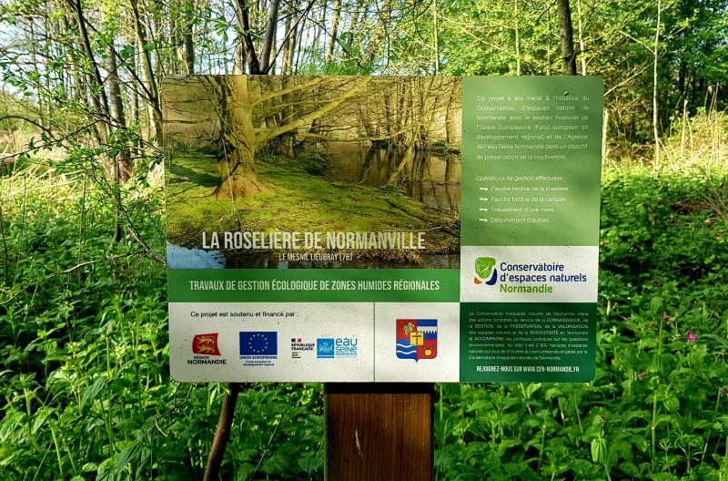 Au détour de Nolleval, Mesnil-Lieubray et la Hallotiere - Nolléval