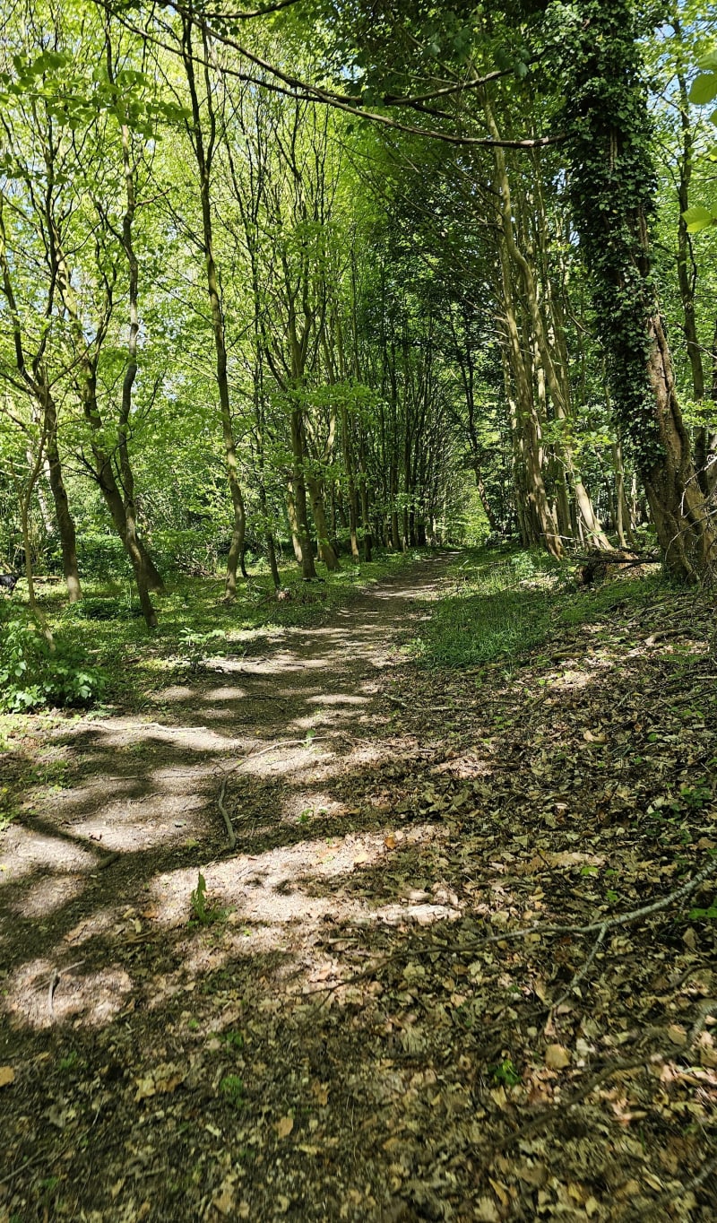 Balade dans la campagne de Thiergeville - Valmont