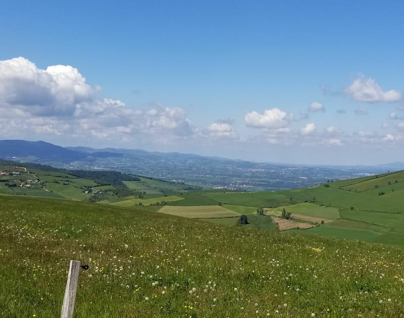 Boucle Pélussin, Croix du Trêve et Col de Pavezin - Pélussin