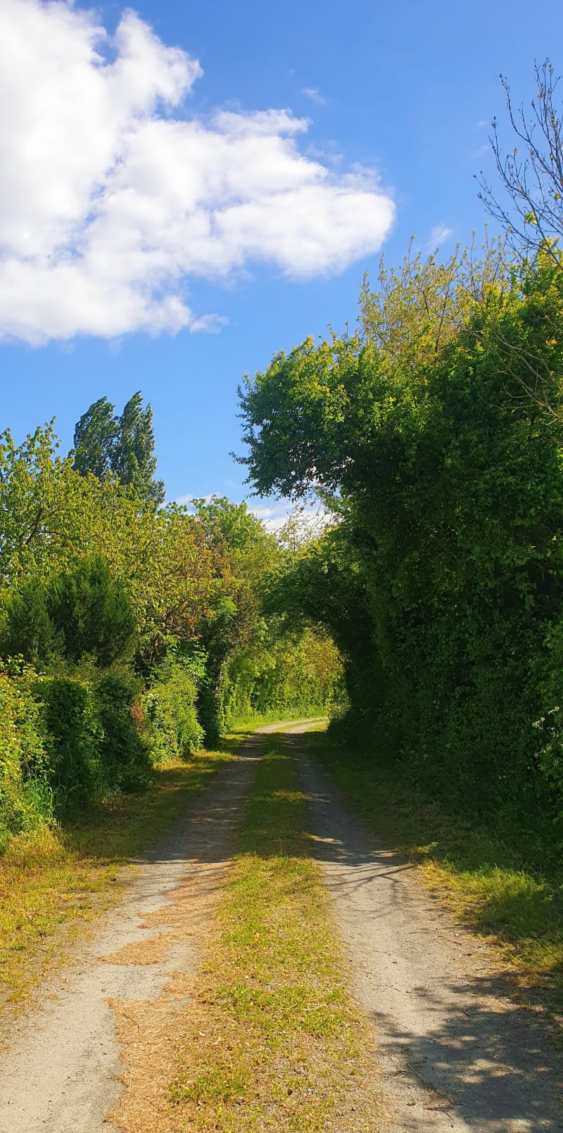 Sentier du Marais de Baude, par Tapecul - Montreuil