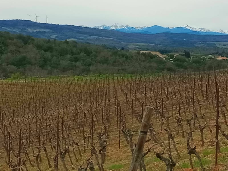 Le Bois de Garde Miel - Gaja-et-Villedieu