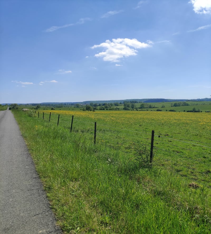 Petite et grande boucle depuis Launois-sur-Vence - Launois-sur-Vence