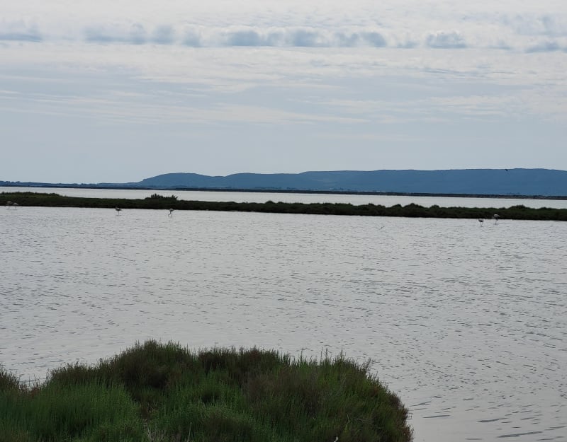 Promenade le long des étangs de Villeneuve - Villeneuve-lès-Maguelone