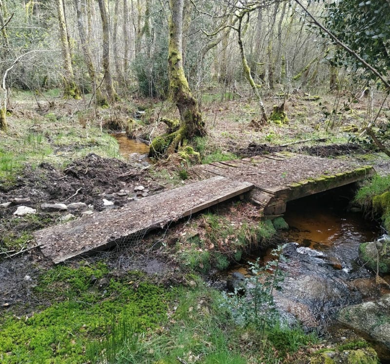 Les Pierres Fades et Chertrain - Saint-Marc-à-Loubaud