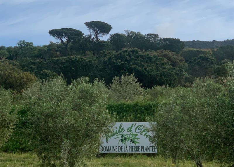 Boucle Grimaud, La Garde-Freinet et Plan de la Tour - Roquebrune-sur-Argens