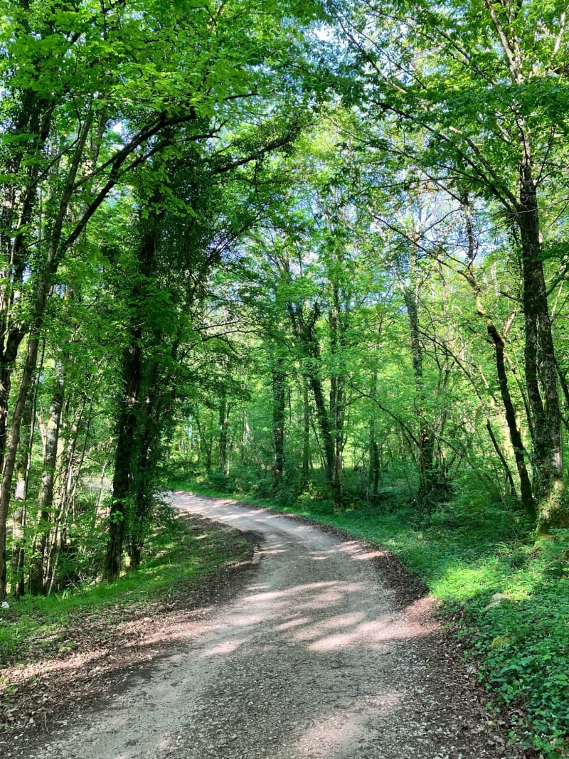 A Verbiesles, en passant par la cabane de chasse - Verbiesles