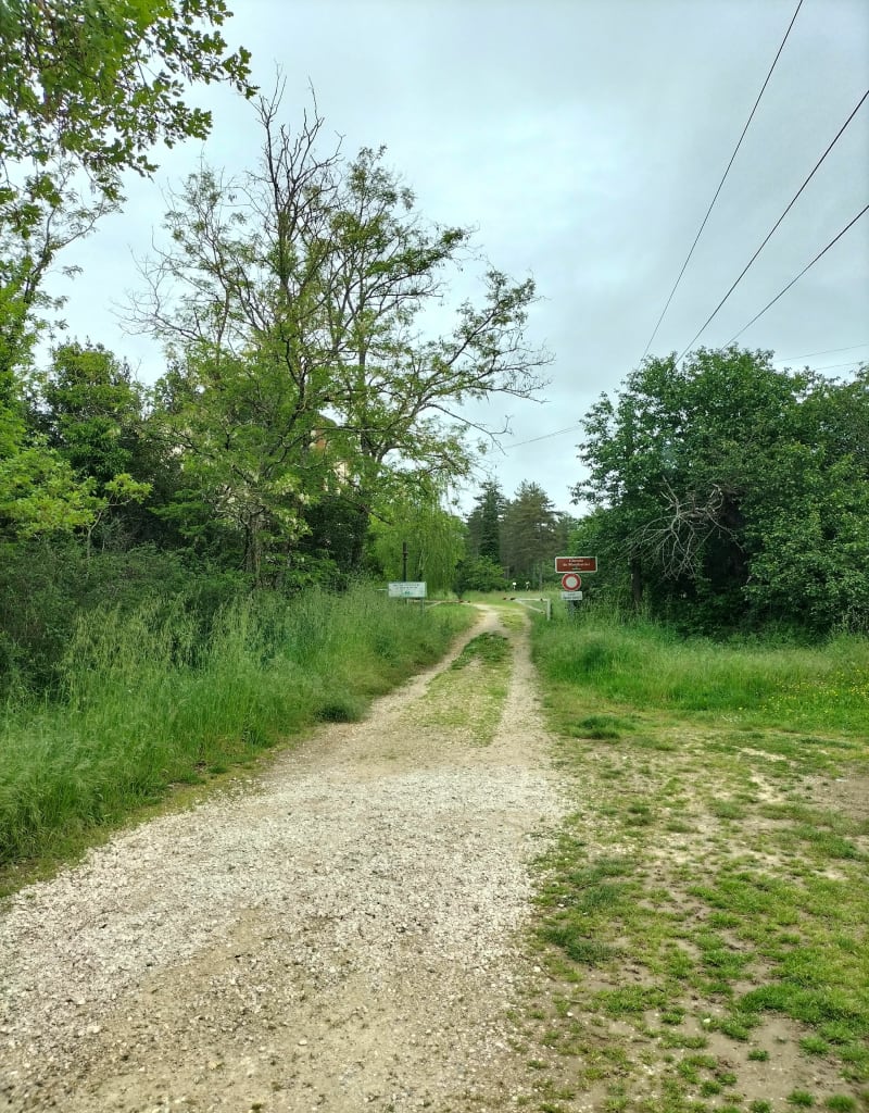 Boucle entre forêt et chemin agricole autour de Montbartier - Montbartier