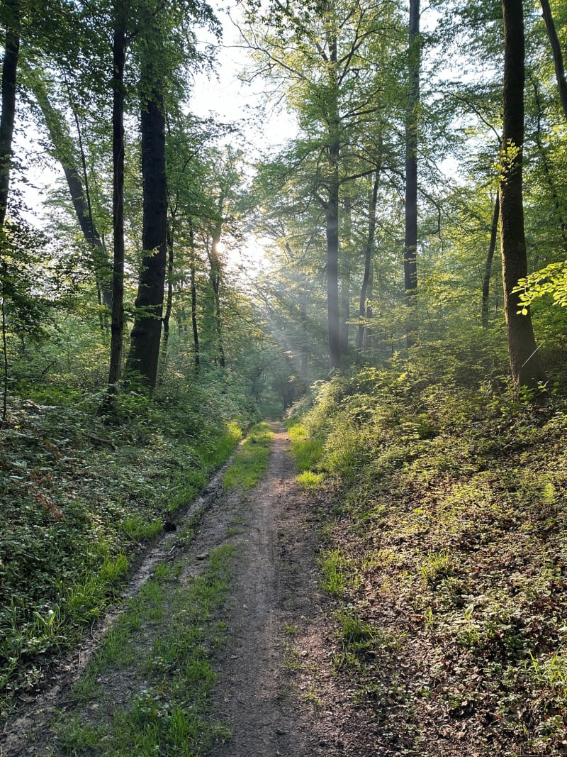 À la découverte du GR12 autour de Compiègne - Compiègne