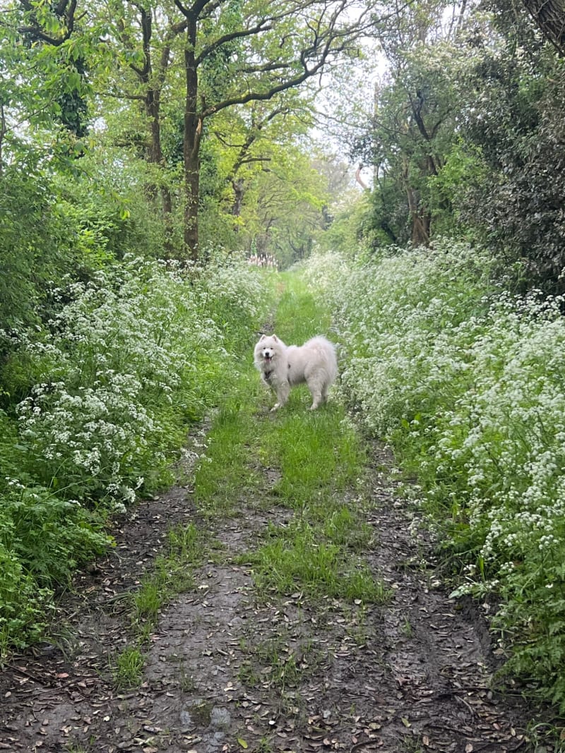 Balade à Freigné - Vallons-de-L'Erdre