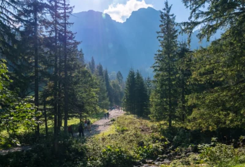 Dolina Strążyska, czyli prosty spacerek w głąb Tatr - Zakopane