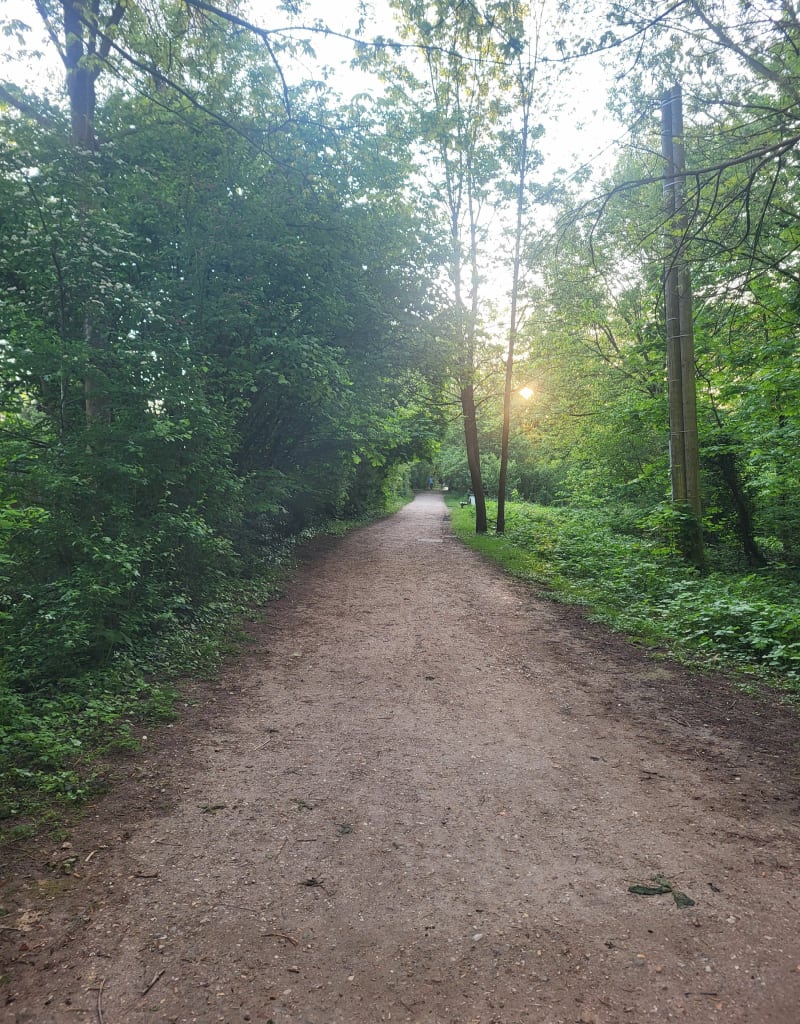 Entre nature et patrimoine depuis Brunoy - Brunoy