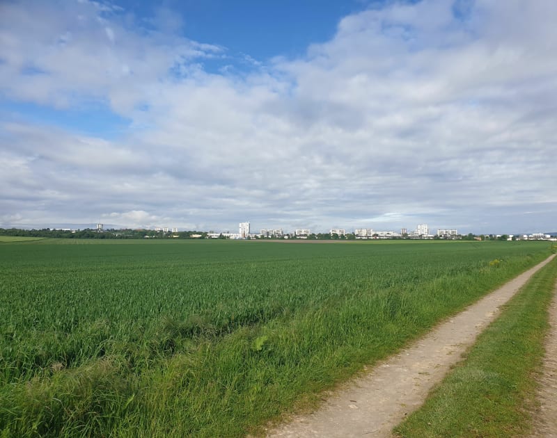 Petit tour entre Cernay-les-Reims, Croix Blandin et quartier Europe - Reims