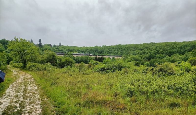 Balade monastérienne - par le viaduc des Coutaubières - Mouthiers-sur-Boëme