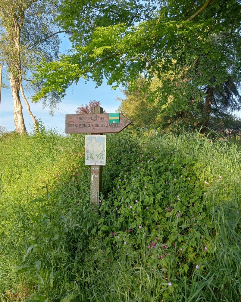 Boucle de Saint-Jagut et Château de Lesmaës - Plestin-les-Grèves