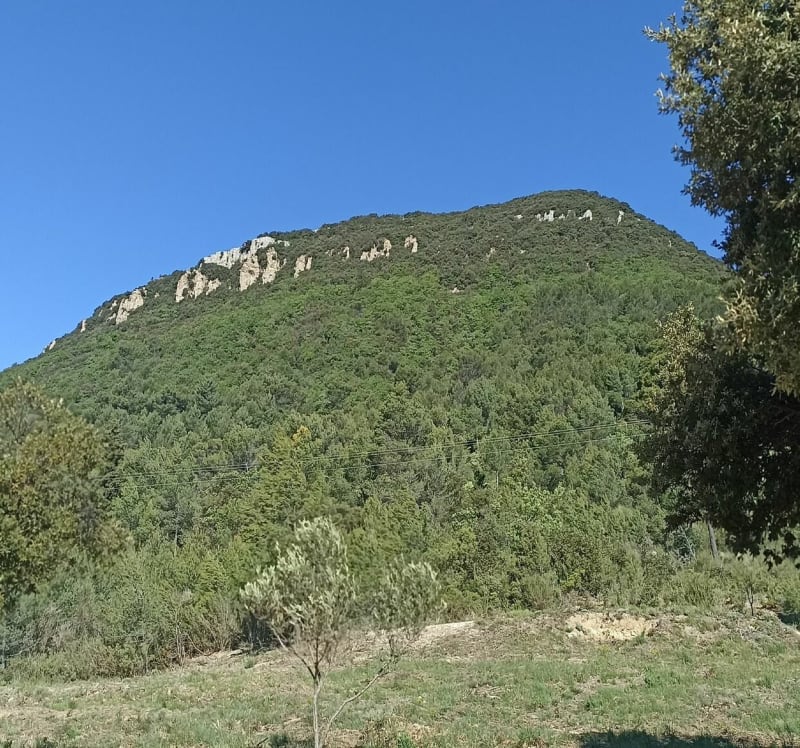 Montée de la Bigue Cuers.. - Cuers