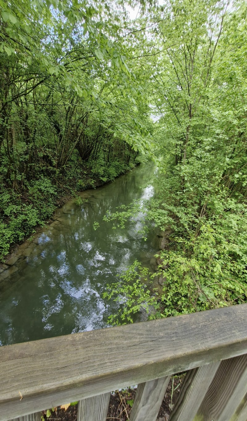 Petite boucle dans la Hardt - Rumersheim-le-Haut