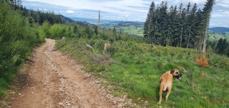 Balade de 6 km à Belleroche - Belleroche