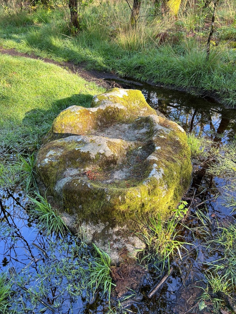 Balade au sud de Sulniac - Sulniac