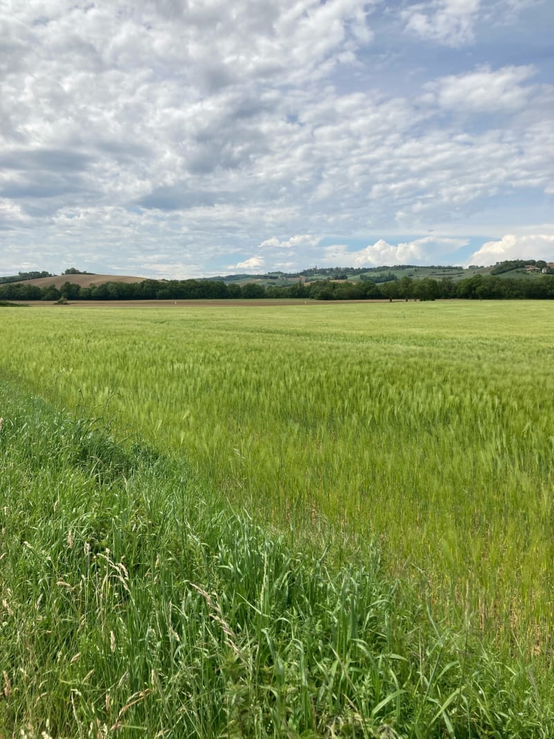 Balade autour de Ségoufielle avec joli point de vue - Ségoufielle