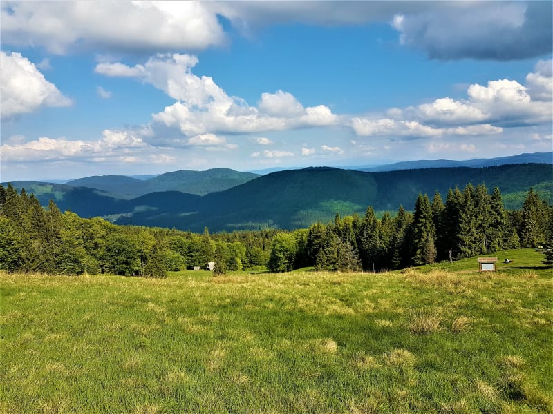 Młada Hora: odkryj tradycję i naturę Beskidu Żywieckiego - Soblówka