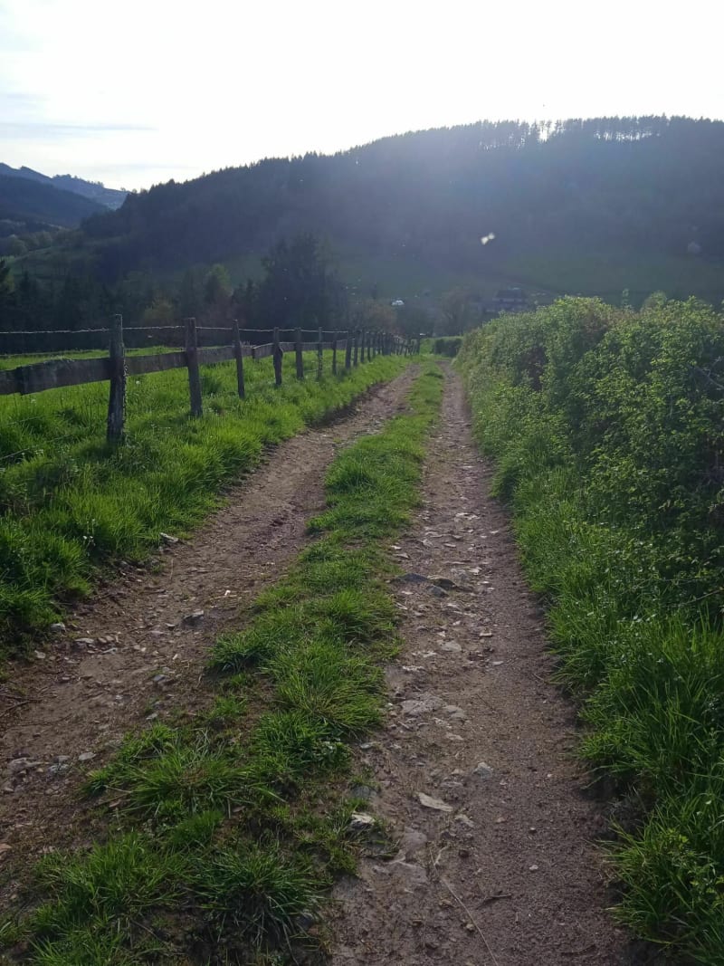 Trail autour de Saint-Igny-de Vers - Saint-Igny-de-Vers