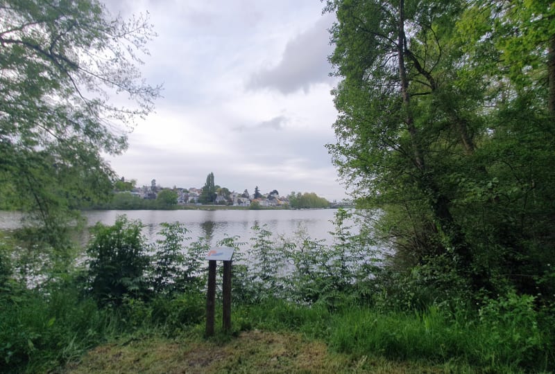 Balade au bord de l'Erdre depuis La Haluchère - Nantes