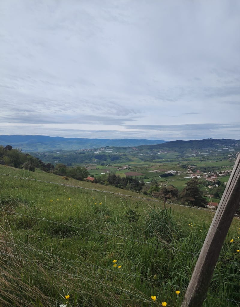 Rando à VTT depuis La Cula - Genilac