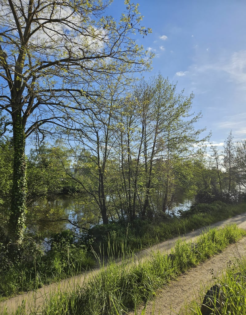 Entre Cesson et plaine de Baud - Rennes
