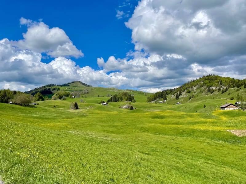 Boucle sur la plaine Joux avec deux cols - Fillinges