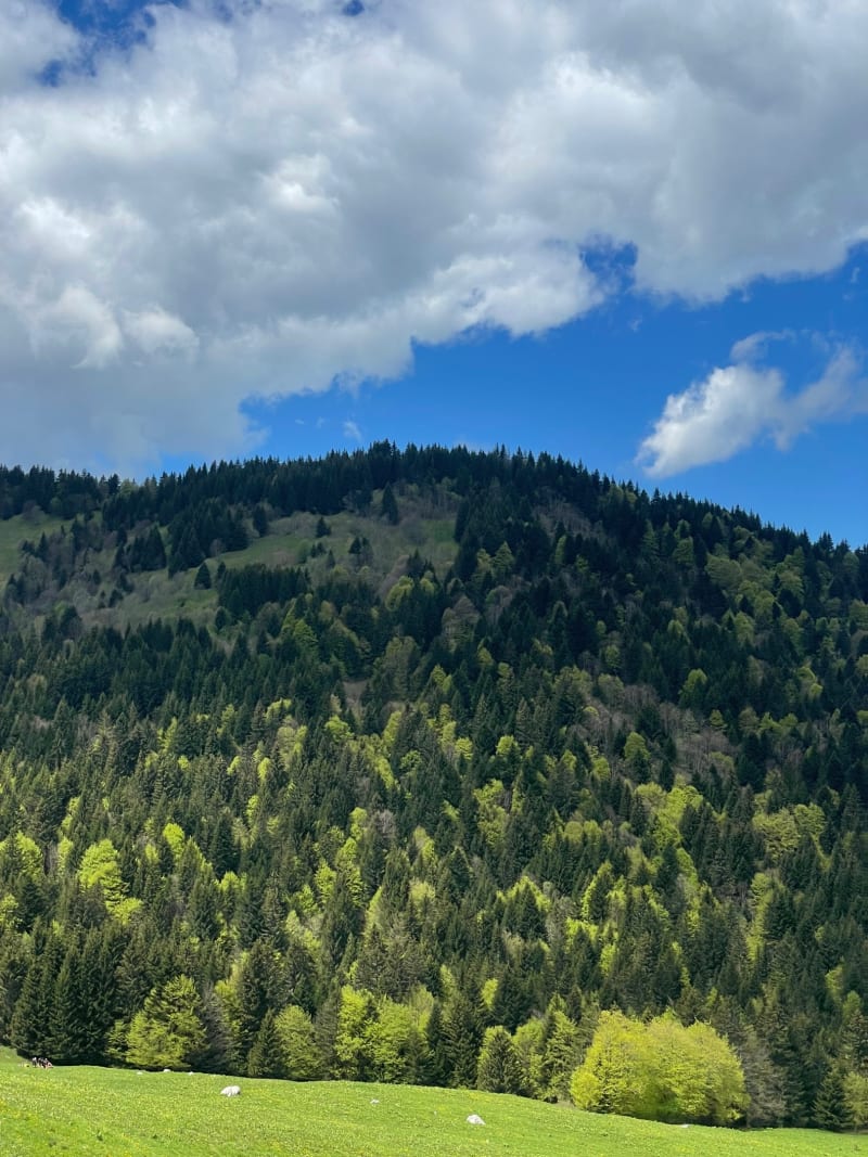 Randonnée Golet de Doucy et le Col de la Bornette - Bellecombe-en-Bauges