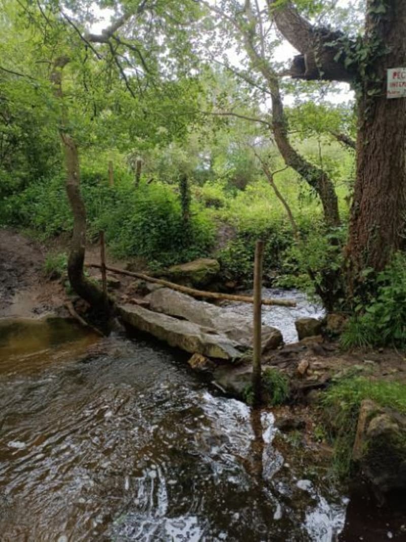 Superbe balade en pleine nature autour de Challes - Challes