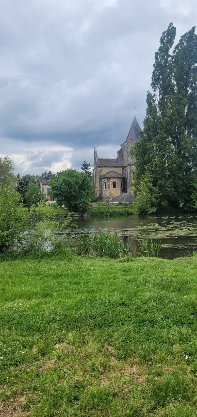 Le long de la rivière de La Vonne à Jazeneuil - Jazeneuil