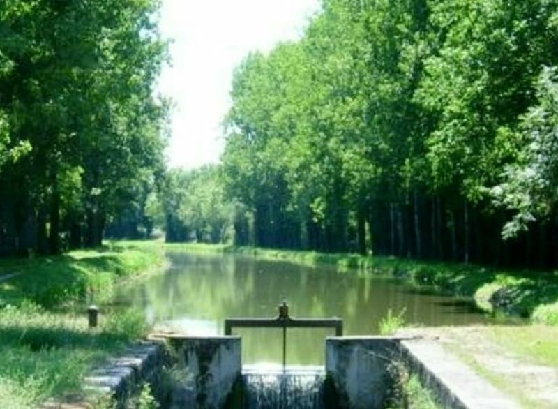 Escapade vers le canal de Berry au départ de Domérat - Domérat